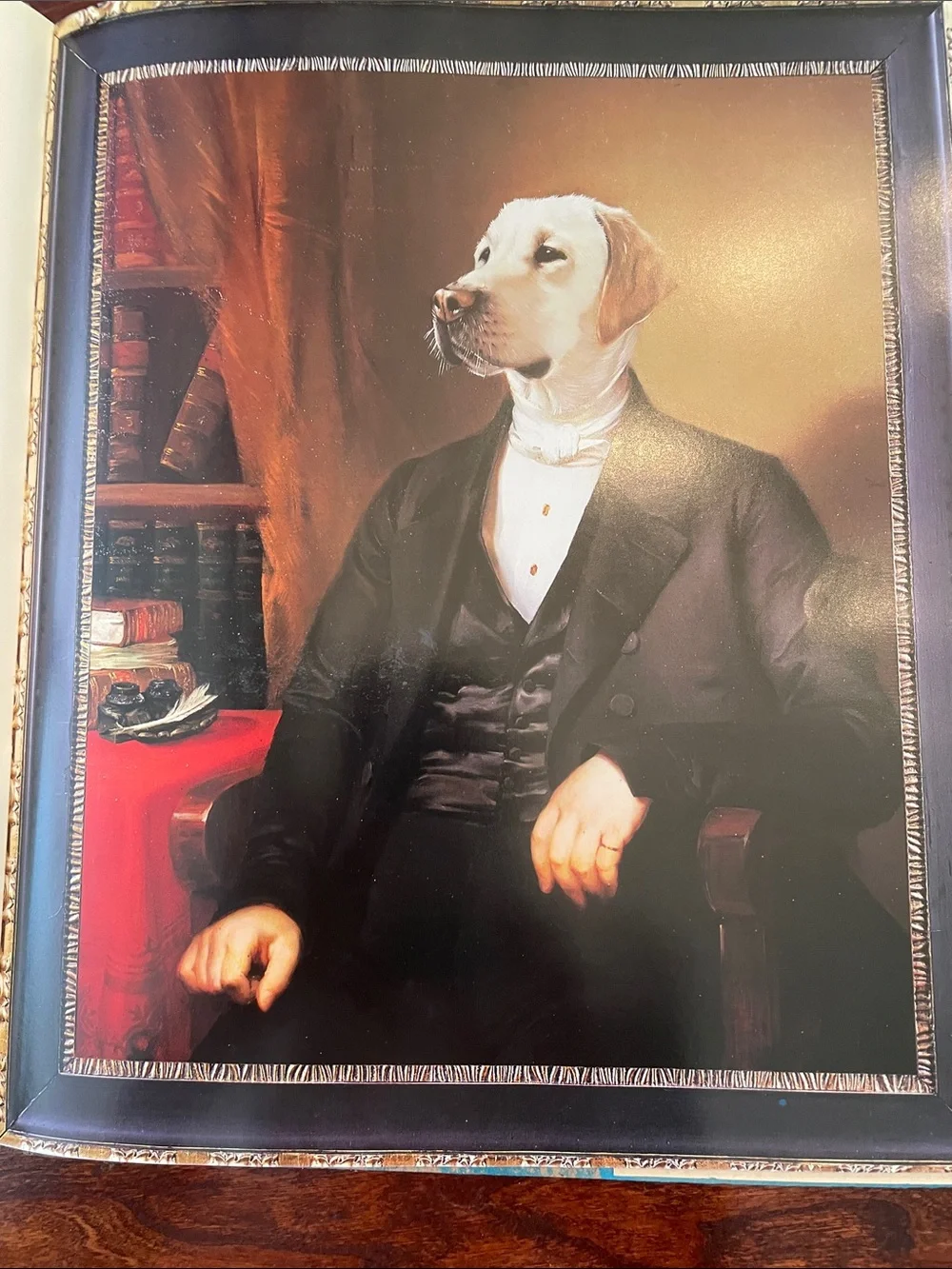 91 pp filled with fabulous dog portraits. Dust cover has a taped rip